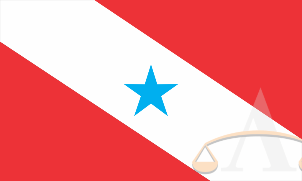 Bandeira do PAra